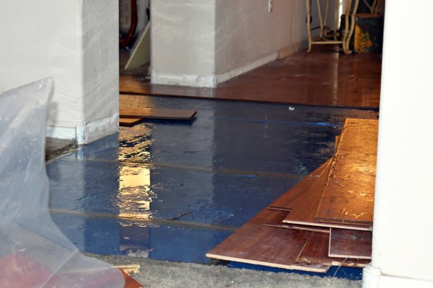 Professional Sewage Cleanup technician working in Robbins, IL